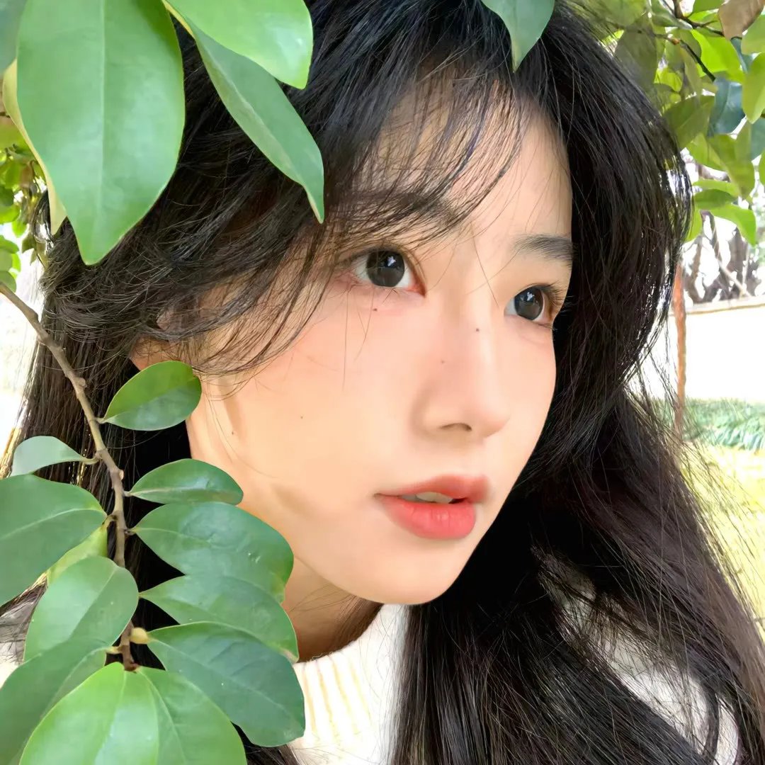 苏菲的供词